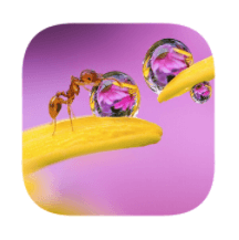 130 Foto Cruciverba Soluzioni