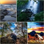 460 Emozioni soluzioni 2