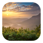 25 Livelli Soluzioni