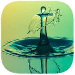 135 FOTO CRUCIVERBA SOLUZIONI