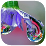 648 Parole Soluzioni